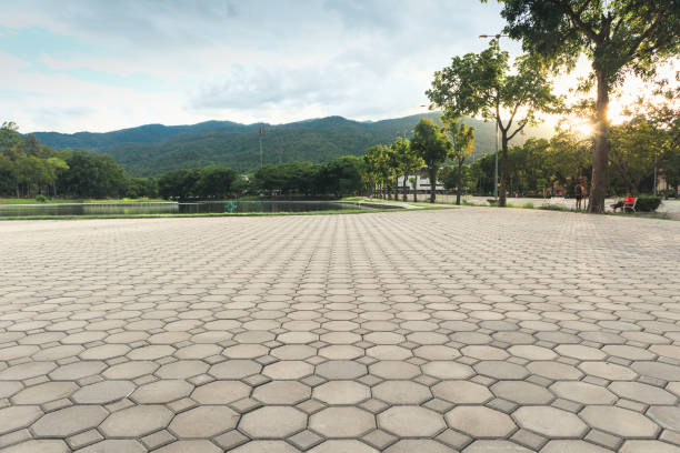 Best Residential Paver Driveway  in Harrison, NJ